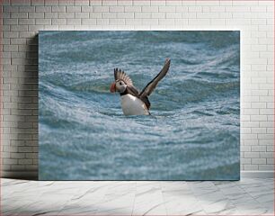 Πίνακας, Puffin in the Ocean Puffin στον ωκεανό