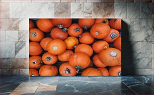 Πίνακας, Pumpkins in Harvest Κολοκύθες στη συγκομιδή