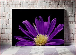 Πίνακας, Purple Flower Close-Up Κοντινό πλάνο μωβ λουλούδι