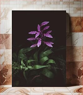 Πίνακας, Purple Flower in Dark Background Μωβ λουλούδι σε σκούρο φόντο