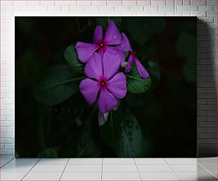 Πίνακας, Purple Flowers with Dark Green Leaves Μωβ λουλούδια με σκούρα πράσινα φύλλα