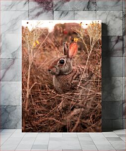 Πίνακας, Rabbit in Natural Habitat Κουνέλι σε φυσικό βιότοπο