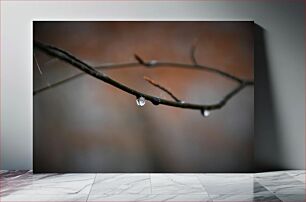 Πίνακας, Raindrop on Branch Σταγόνα βροχής στο κλαδί