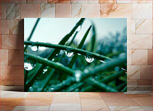 Πίνακας, Raindrops on Leaves Σταγόνες βροχής στα φύλλα