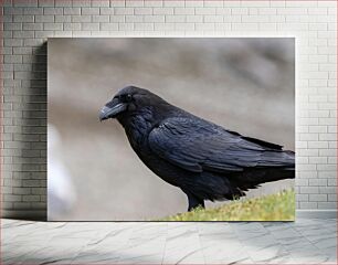 Πίνακας, Raven on Moss Raven on Moss