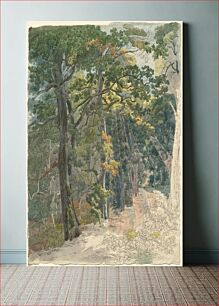 Πίνακας, Rays of Sunlight Striking a Woodland Path (ca. 1815) by Friedrich Salathé