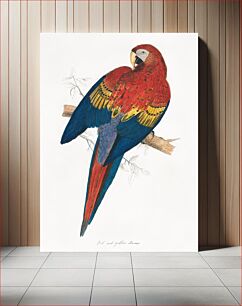 Πίνακας, Red and Yellow Macaw (1832)