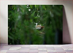 Πίνακας, Red Panda in the Jungle Κόκκινο Πάντα στη Ζούγκλα