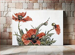 Πίνακας, Red Poppies (1929) by Charles Demuth