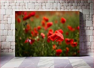 Πίνακας, Red Poppies in Bloom Red Poppies in Bloom