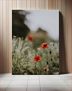 Πίνακας, Red Poppies in Bloom Red Poppies in Bloom