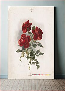 Πίνακας, Red Roses (1861-1897) by Grace Barton Allen