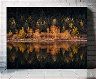 Πίνακας, Reflection of Autumn Trees Αντανάκλαση των δέντρων του φθινοπώρου