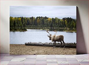 Πίνακας, Reindeer by the Lake Τάρανδοι δίπλα στη λίμνη