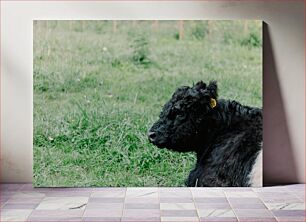 Πίνακας, Relaxed Cow in the Meadow Χαλαρή αγελάδα στο λιβάδι