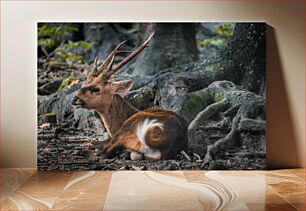 Πίνακας, Resting Deer in Forest Αναπαύοντας ελάφια στο δάσος