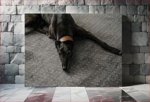 Πίνακας, Resting Dog on Carpet Σκύλος που ξεκουράζεται στο χαλί