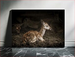 Πίνακας, Resting Fawn in a Barn Αναπαυόμενο ελαφάκι σε αχυρώνα