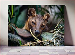 Πίνακας, Resting Fossa Amongst the Foliage Αναπαύεται Fossa Ανάμεσα στο Φύλλωμα