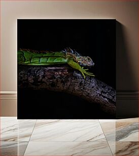 Πίνακας, Resting Iguana on a Branch Ανάπαυση Iguana σε ένα κλαδί