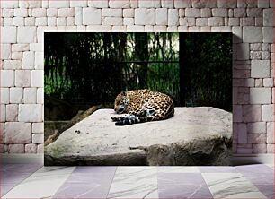 Πίνακας, Resting Leopard Αναπαυτική Λεοπάρδαλη