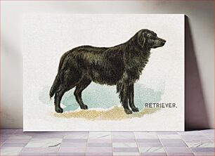 Πίνακας, Retriever, from the Dogs of the World series for Old Judge Cigarettes (1890) chromolithograph art by Goodwin & Company