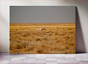 Πίνακας, Rhinoceros in the Wild Ρινόκερος στην άγρια ​​φύση