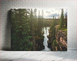 Πίνακας, River Canyon in the Forest Φαράγγι του ποταμού στο δάσος