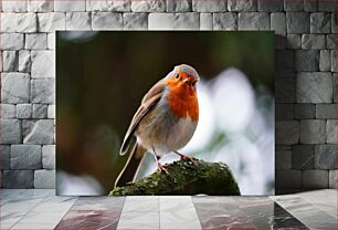 Πίνακας, Robin on a Branch Robin σε ένα κλαδί