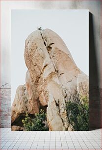 Πίνακας, Rock Formation with Vegetation Βραχώδης σχηματισμός με βλάστηση