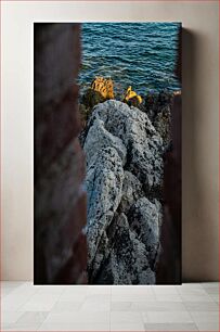 Πίνακας, Rocky Shore Through a Gap Rocky Shore Through a Gap