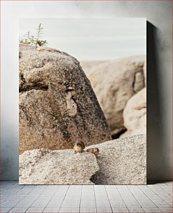 Πίνακας, Rocky Terrain with Wildlife Βραχώδες έδαφος με άγρια ​​φύση