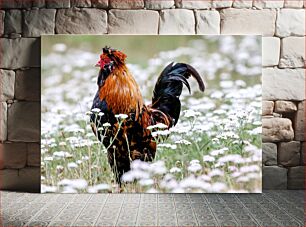 Πίνακας, Rooster in a Flower Field Κόκορας σε λουλούδι