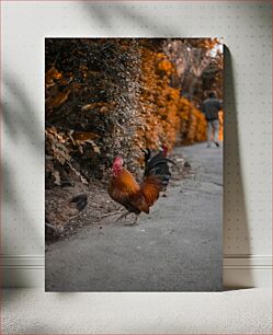 Πίνακας, Rooster on a Path Πετεινός σε μονοπάτι