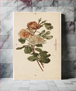 Πίνακας, Roses