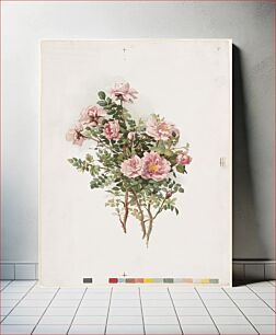 Πίνακας, Roses