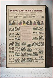 Πίνακας, School and family charts, accompanied by a manual of object lessons and elementary instruction, by Marcius Willson and N.A. Calkins. No. XVI. Zoological: the classification of animals