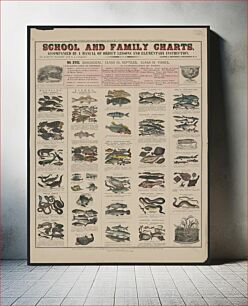 Πίνακας, School and family charts, accompanied by a manual of object lessons and elementary instruction, by Marcius Willson and N