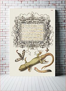 Πίνακας, Scorpionfly, Insect, Lizard, and Insect Larva from Mira Calligraphiae Monumenta or The Model Book of Calligraphy (1561–1596) by Georg Bocskay and Joris Hoefnagel