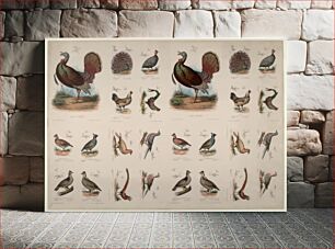 Πίνακας, Scratching Birds, Smithsonian National Museum of African Art