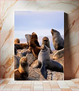 Πίνακας, Sea Lions on Rocks Sea Lions on Rocks