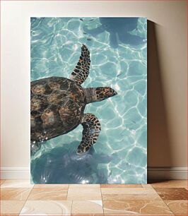 Πίνακας, Sea Turtle in Clear Water Θαλάσσια χελώνα σε καθαρά νερά