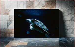 Πίνακας, Sea Turtle in the Deep Ocean Θαλάσσια χελώνα στο βαθύ ωκεανό