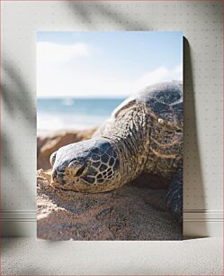 Πίνακας, Sea Turtle on the Beach Θαλάσσια χελώνα στην παραλία