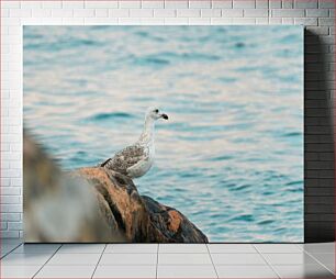 Πίνακας, Seagull by the Sea Seagull by the Sea