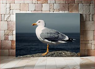 Πίνακας, Seagull by the Sea Seagull by the Sea