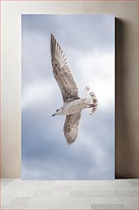 Πίνακας, Seagull in Flight Seagull in Flight