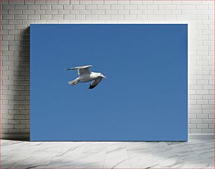 Πίνακας, Seagull in Flight Seagull in Flight