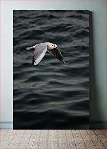 Πίνακας, Seagull in Flight Over the Sea Γλάρος σε πτήση πάνω από τη θάλασσα