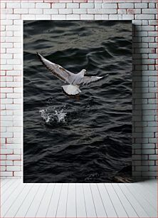 Πίνακας, Seagull in Flight Over Water Γλάρος σε πτήση πάνω από το νερό